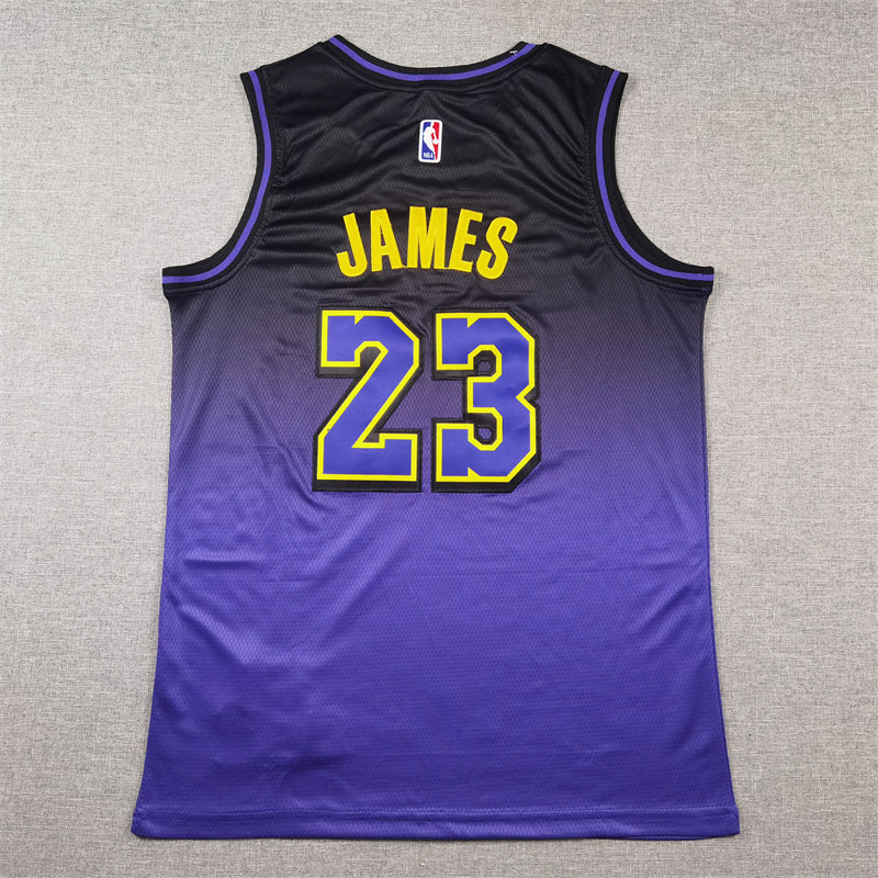 Men's Los Angeles Lakers LeBron James #23 Purple 2024/25 Swingman Jersey - City Edition