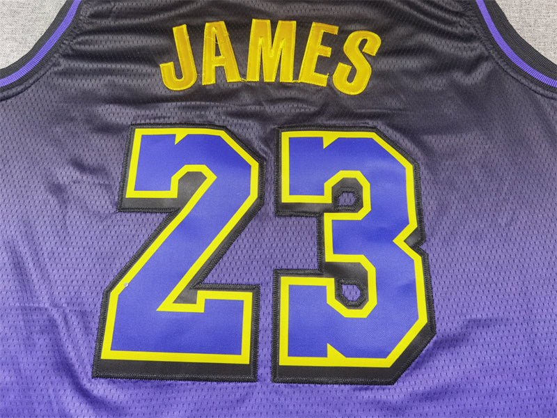 Men's Los Angeles Lakers LeBron James #23 Purple 2024/25 Swingman Jersey - City Edition