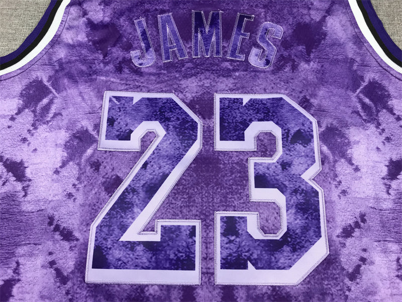 Men's Los Angeles Lakers LeBron James #23 Purple Select Series Swingman Jersey