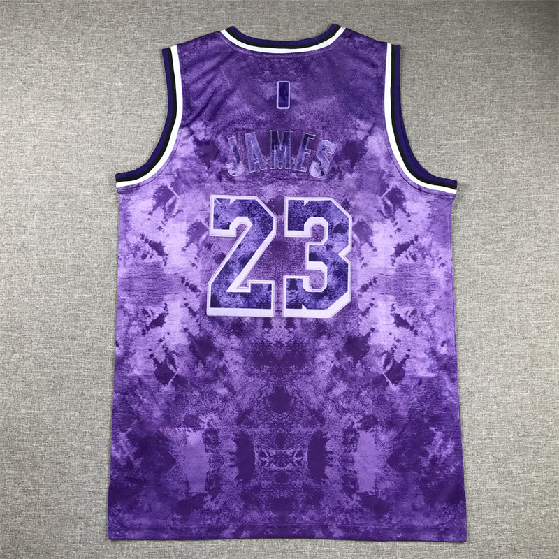 Men's Los Angeles Lakers LeBron James #23 Purple Select Series Swingman Jersey