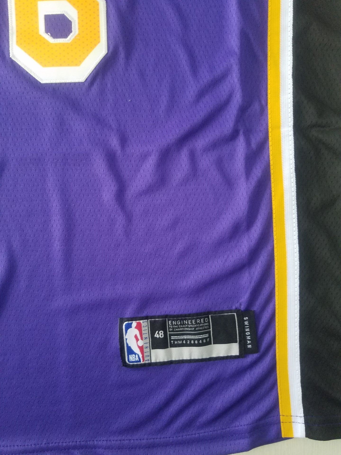 Men's Los Angeles Lakers LeBron James #6 NBA Purple Jersey