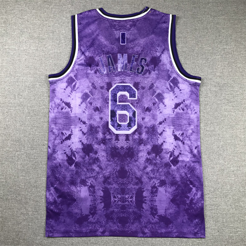 Men's Los Angeles Lakers LeBron James #6 Purple Select Series Swingman Jersey