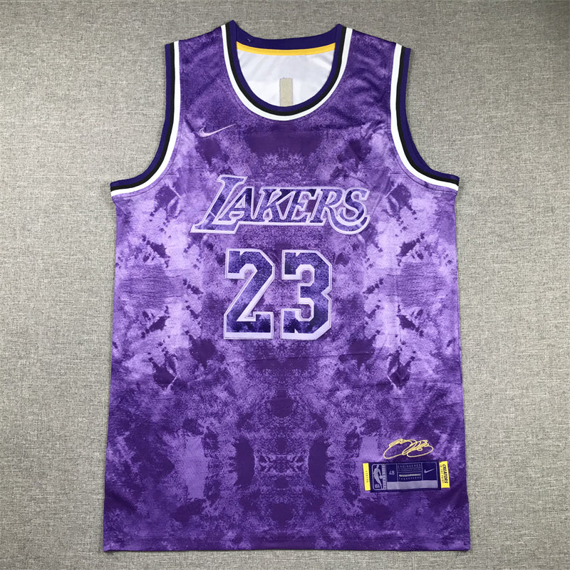 Men's Los Angeles Lakers LeBron James #23 Purple Select Series Swingman Jersey