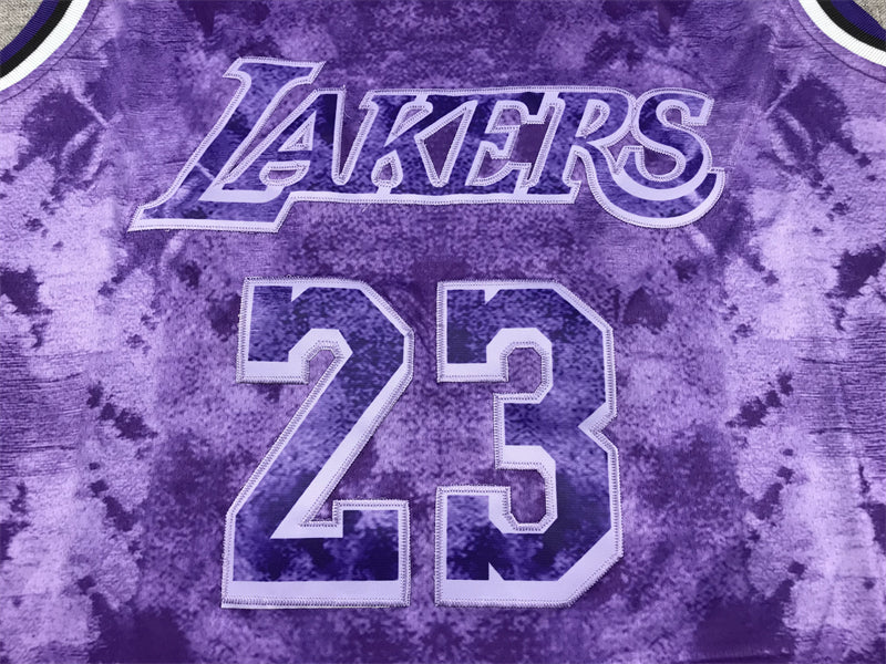 Men's Los Angeles Lakers LeBron James #23 Purple Select Series Swingman Jersey