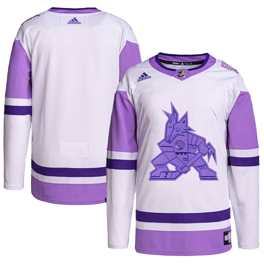 Men's Arizona Coyotes White/Purple Hockey Fights Cancer Primegreen Authentic Blank Practice Jersey