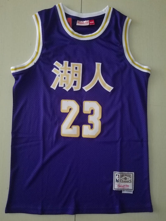 Men's Los Angeles Lakers LeBron James Purple Hardwood Classics Swingman Jersey