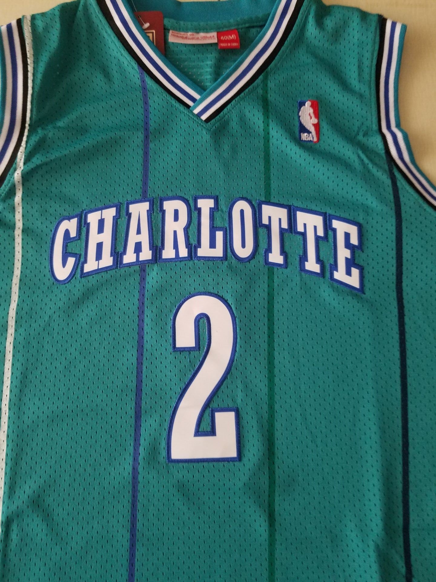 Men's Charlotte Hornets Larry Johnson 1992-93 Hardwood Classics Swingman Jersey