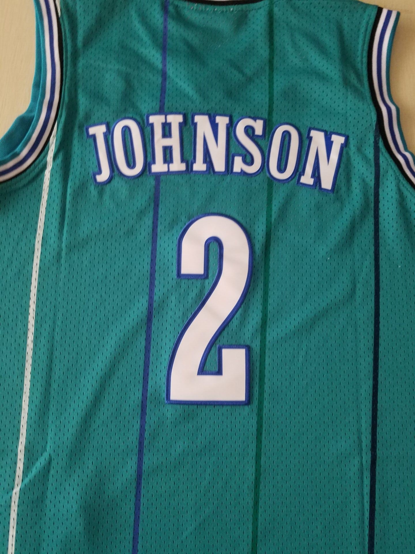 Men's Charlotte Hornets Larry Johnson 1992-93 Hardwood Classics Swingman Jersey