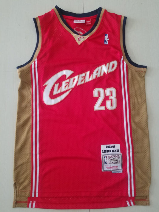 Men's Cleveland Cavaliers LeBron James 2003-04 Hardwood Classics Swingman Jersey