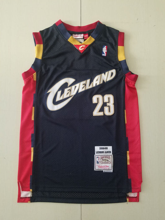 Men's Cleveland Cavaliers LeBron James 2008-09 Hardwood Classics Swingman Jersey